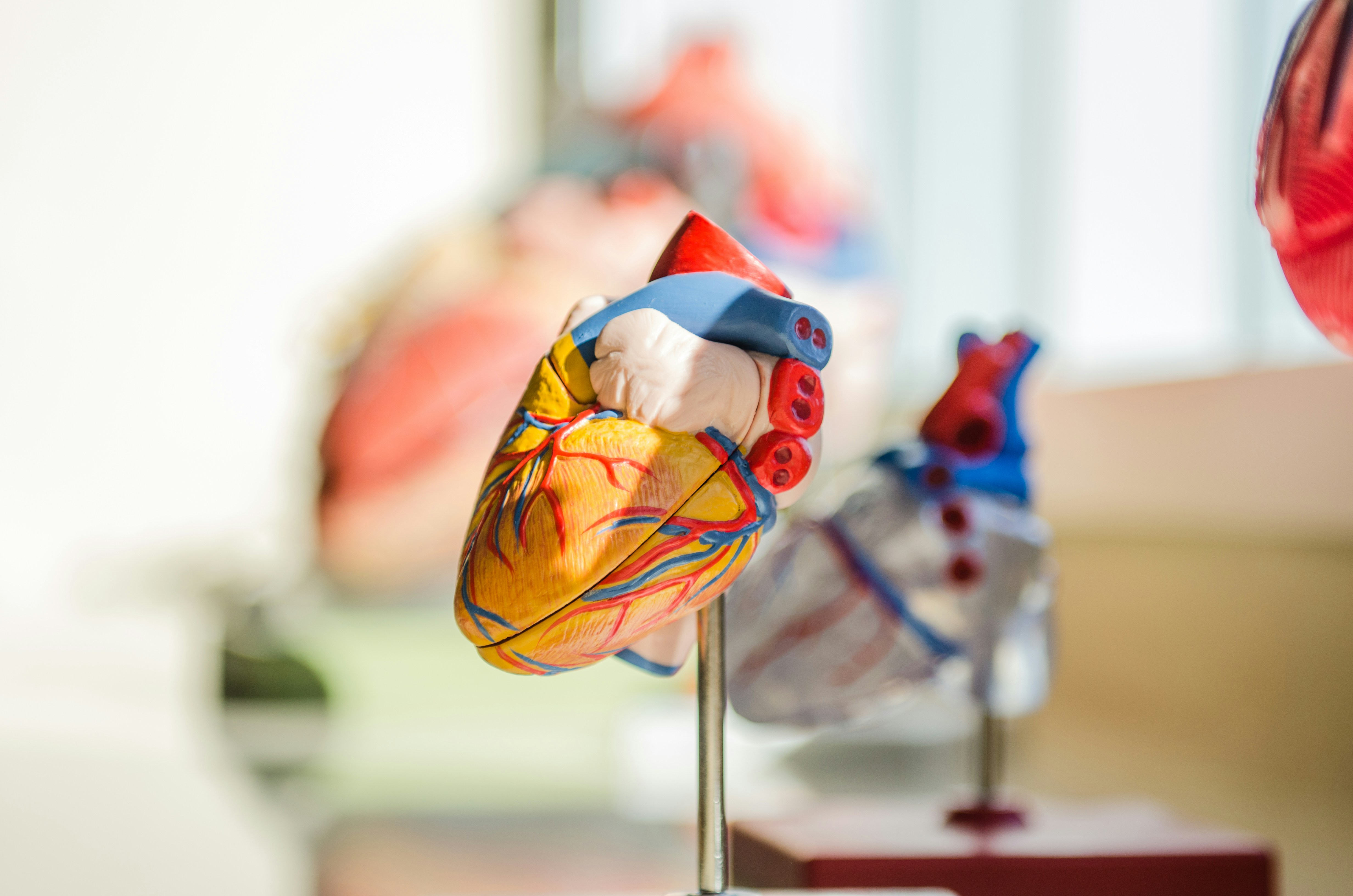 Sudden Cardiac Death and ICDs: Treatment Options and Troubleshooting